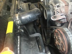 Forester old serpentine belt positioned on engine pulleys prior to removal and replacement.